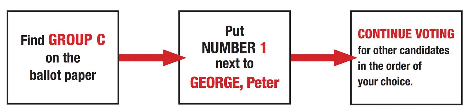 how-to-vote2