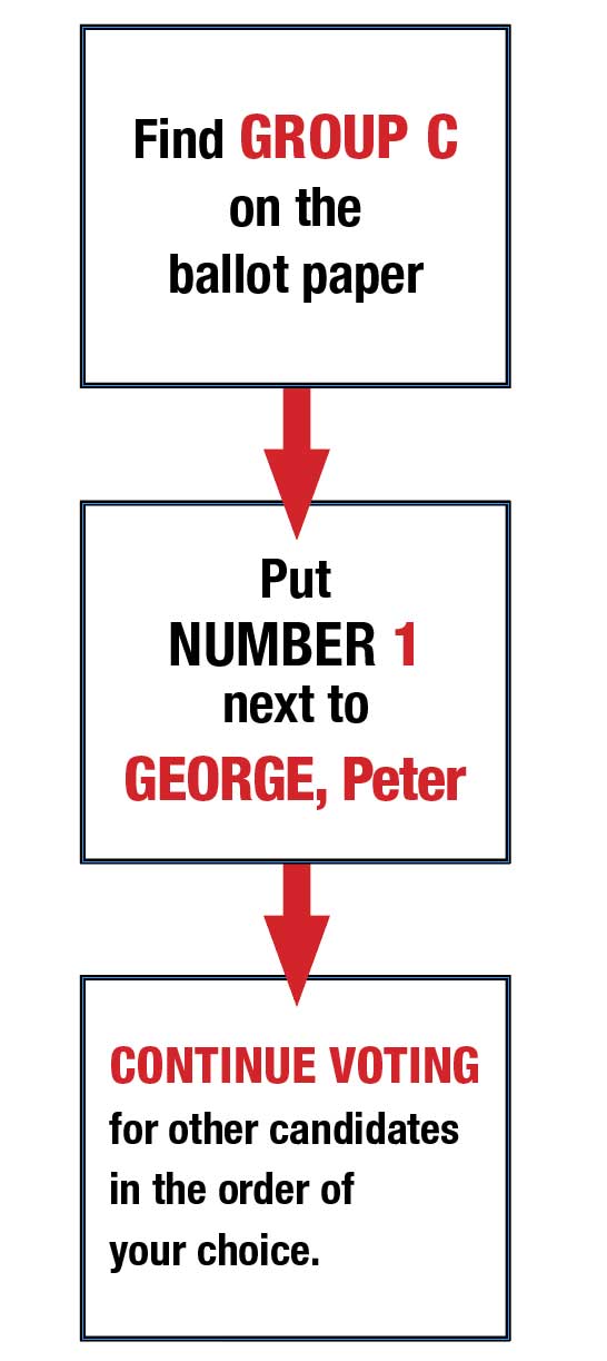 how-to-voteVERT